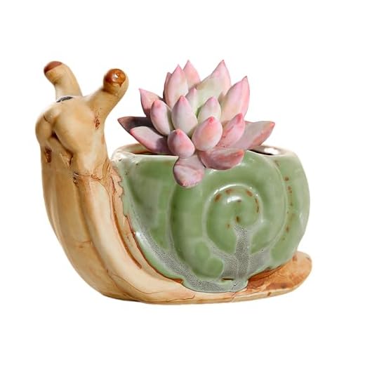 33+ Unique Succulent Planter Ideas to Elevate Your Garden Decor 6 SJBAG Ceramic Animal Snail Shaped Flower Pot - Unique and Charming Home Decor (Multi)
