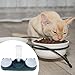 Baoblaze 3 in 1 Cat Bowl Set Feeding Bowls Raised with Automatic Water Bottle Raised Cat Dish Wet and Dry Food Bowl for Drinking Puppy, Blue