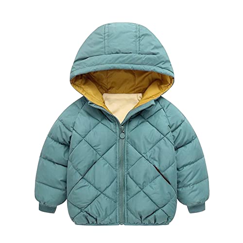 Toddler Winter Coat Girls Boys Unisex Fleece Lined Padded Jacket Windproof Solid Warm Hooded Outwear with Pockets