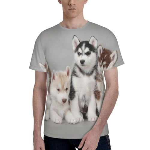 [zhandiffy] nXL[ nXL[ AjObY T Vc nӃfUCY t@bVX|[cEFAێ S