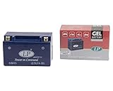 Maße LxBxH 151 x 87 x 94mm LANDPORT Batterie 12 V 6 Ah (GTX7A-4) [wartungsfrei & versiegelt] kompatibel für Dchang Jiang, Dinli, Kasea
