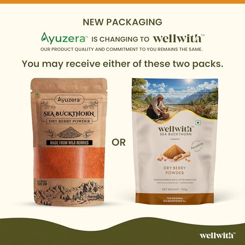 Ayuzera Himalayan Sea Buckthorn Berries Powder 500 grams | Rich in Omega 3, 6, 7, 9 | Collagen, Fiber, Omegas, Vitamin C, Vitamin E | Dry Sea Buckthorn Powder (500 grams)