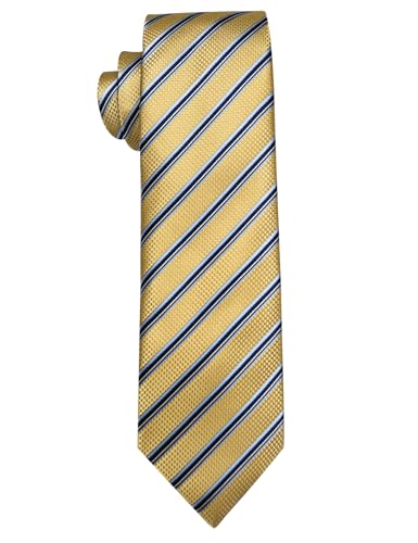 Men's Neckties Striped Tie and Plaid Neckties for Men Woven Silk Tie Gold Tie Clip Set
