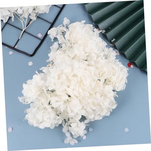 DECHOUS pétalos secos naturales de hortensia 20g miniatura 4