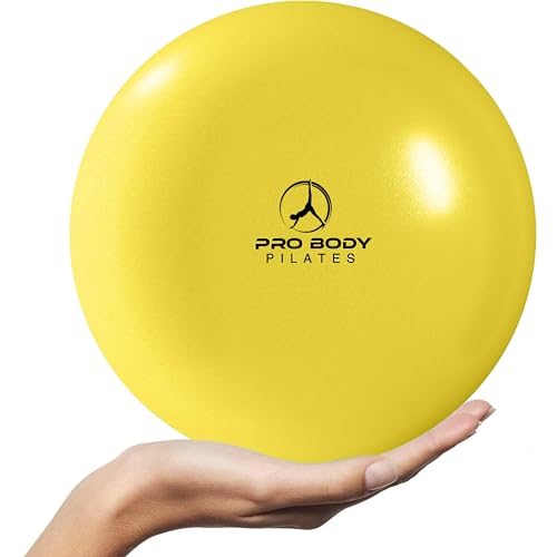 Top 10 Best Therapy Ball For Knees Reviews & Buying Guide Katynel