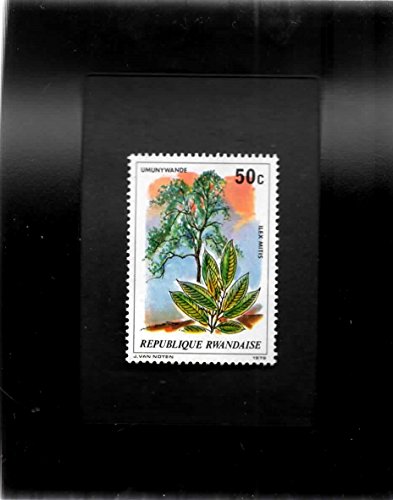 Tchotchke Stamp Art - Collectible International Postage Stamp - Ilex Mitis African Tree
