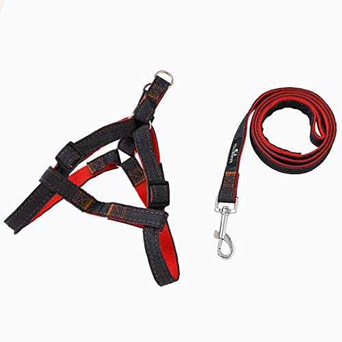 Kuber Industries Dog Belt Combo of Nylon Chest Harness with Leash I Dog Rope for Small to Medium Breeds I Waterproof Harness Chain for Pets (Red) (B0BLSVZPXP) Amazon Price History, Amazon Price Tracker