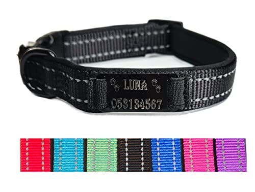 Hundehalsband Halsband Name Gravur personalisiert Haustier Hund Katze Nylon besonders stabil (L, Schwarz)