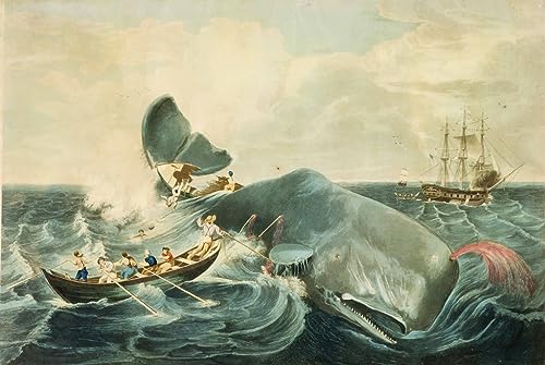 Toile Capturer un cachalot de William Page 60x90cm TVLAR d'art mural