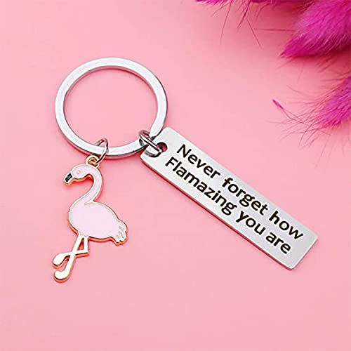 tenghong2021 Motivational Flamingo Keychain Never Forget How Flamazing You are Keychain Gift for Women Girls4