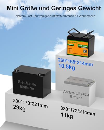 ECO-WORTHY Lithium Batterie 12v 100ah mit BMS Low Temperature Schutz und Max.15000 Zyklen, 1280Wh LiFePO4...