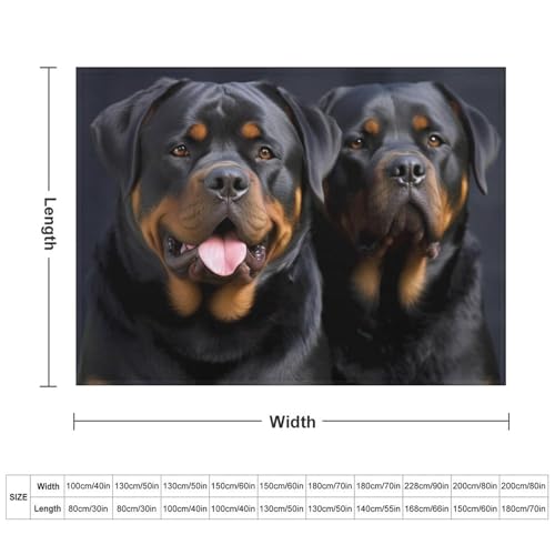 Couverture flanelle Rottweiler 168x229 cm pour canapé - 4