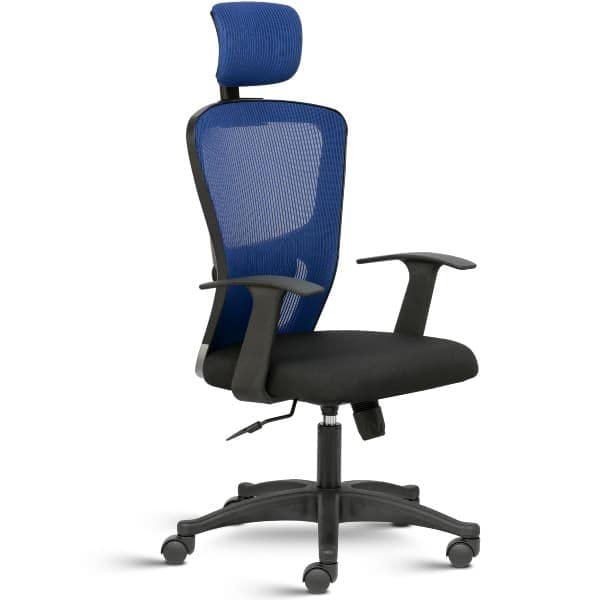 TransteelFluid Lite High Back Ergonomic Chair with Mesh Back & Fixed