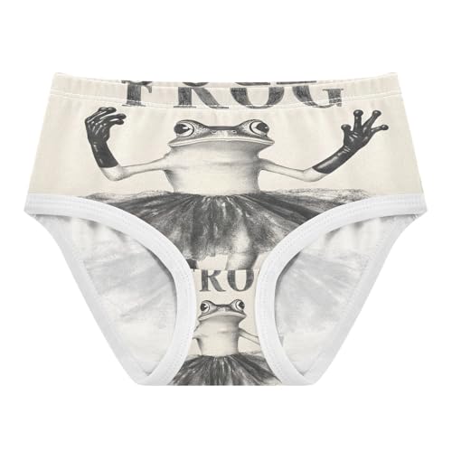 Funny Black Ballet Frog Toddler Girls's Underwear 2T 202b8973