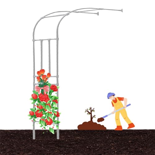 ZXBMYLV Outdoor Rose Arch Trellis Frame Climbing, Metal