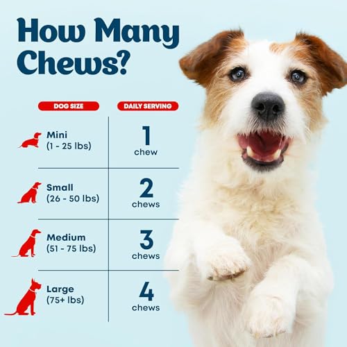 Multivitamin-Chews-Dog-Vitamins-and-Supplements-Senior-Puppy-Multivitamin-for-Dogs-Dog-Vitamins-and-Minerals-for-Skin-Coat-Heart-Hip-Joint-Support-Cranberry-for-Gut-Immune-120Ct