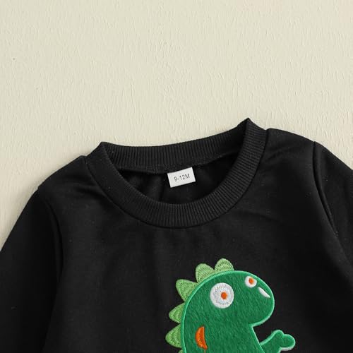 wdehow Toddler Baby Boy Fall Clothes Dinosaur Embroidered Long Sleeve Sweatshirt Elastic Waist Pant Set Winter Outfits4