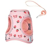 Step in Dog Harness and Leash Set, Flower Adjustable Easy Walk Puppy Harnesses, Soft Mesh No Pull Pet Vest Harness for Small Dogs and Cats(Strawberry, XXS)