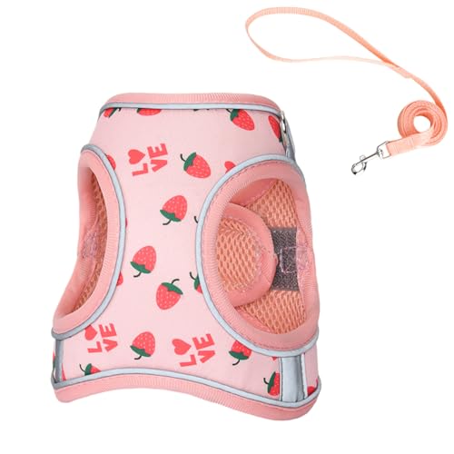 Step in Dog Harness and Leash Set, Flower Adjustable Easy Walk Puppy Harnesses, Soft Mesh No Pull Pet Vest Harness for Small Dogs and Cats(Strawberry, XXS)