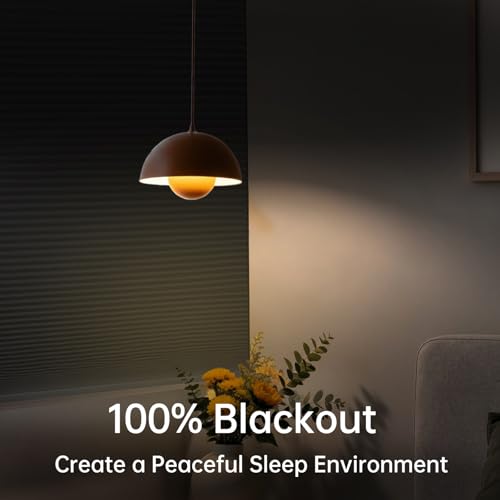 Image of No Drill No Tools Blackout Cellular Shades,Cordless Blinds for Indoor Windows,Room Darkening Window Shades Honeycomb Blinds for Bedroom,Office,Home,Black,20 inch w x 36 inch h
