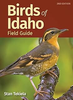 Birds of Idaho Field Guide (Bird Identification Guides)