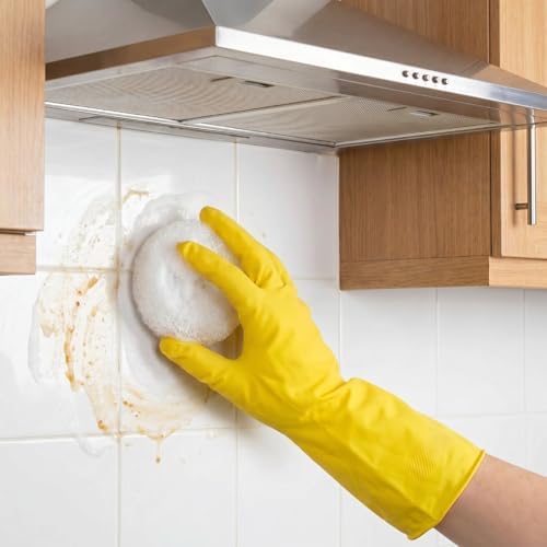 Image of Blulu 15 Pcs Plastic Dish Scrubbers for Dishes Pot Round Nylon Pad, Mesh Scouring Non Scratch Pads (White)