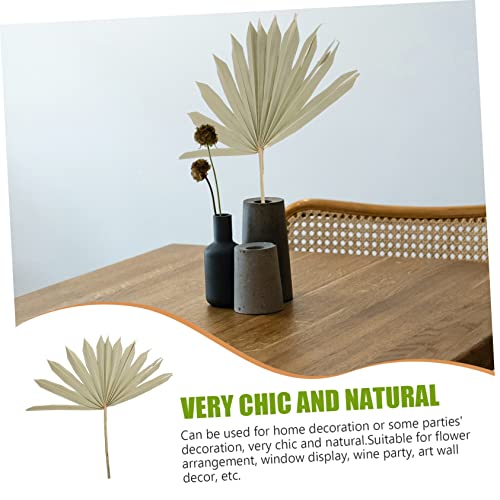 Adorno natural de hoja de palma seca para decoración miniatura 7