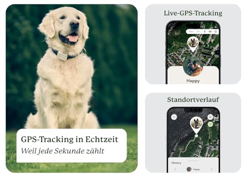 Lildog 2 GPS & Activity Tracker für Hunde | Wasserdicht, leicht, stoßfest | Live-GPS-Tracking & Standortverlauf | Schrittzähler & Aktivitätsmonitor | Hergestellt in Norwegen | Für alle Hunderassen