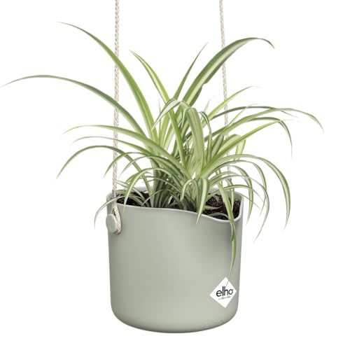 elho B.for Swing 18 - Hanging Plant Pot Indoor - 100% Recycled Plastic - diameter 18.0 x H 16.5 cm - Green/Stone Green - Image 3