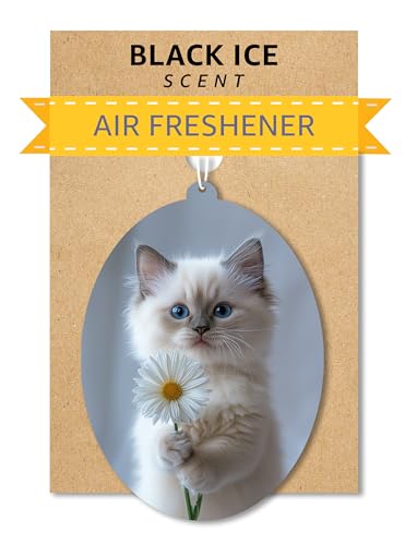 Image of Ragdoll Kitten - Cat Car Air Freshener - Cute Hanging Daisy Cat Decor Black Ice Scent, Infusible with Your Own Scent, Pet Safe, Non-Toxic, Freshener for Car, Closet, Office Size - 3x4 inch