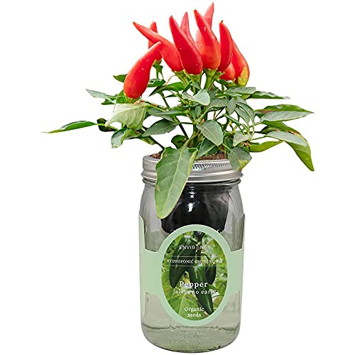 Environet Hydroponic Pepper Growing Kit, Self-Watering Mason Jar Vegetable Starter Kit Indoor, Grow Peppers from Organic Seeds (Jalapeño Early Pepper)