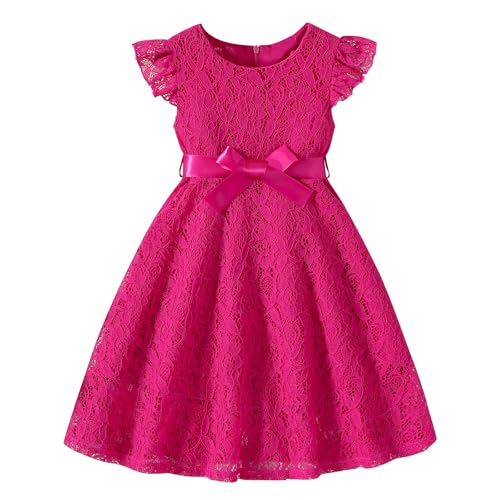 Toddler Girls Lace Embroidery Formal Dresses Kids Ruffle Sleeve Wedding Birthday Party Gown a Line Performance Dress