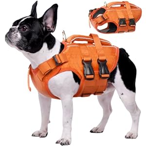 Kuoser Dog Life Jacket High Flotation Reflective Dog Life Vest for Swimming Boating Adjustable Small Medium Large Dog lifejacket Lightweight Dog Life Preserver Rescue Handle Spring Summer Pool