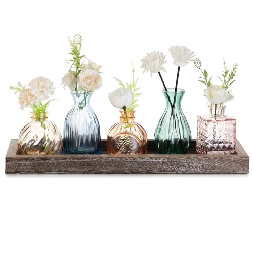 Glasseam Kleine Vasen Glas für Zuhause: 5 Mini Vasen Bunt mit Holztablett für Wohnzimmer Büro...