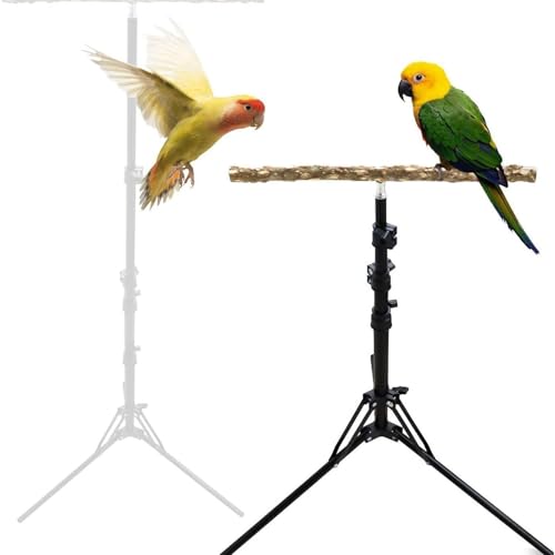 Bird Training Poleiro Stand Bird Play Stand Sturdy 61.81in Multifunções Pepper Wood Parrot Poleiro S