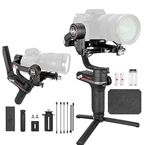 Zhiyun WEEBILL S Handflächenstabilisator mit 3 Achsen für spiegellose Kameras, Smartphone, 300 % verbesserter Motor im Vergleich zu Zhiyun Weebill Lab, maximale Unterstützung 3 kg (Standard-Paket)