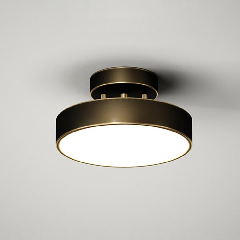 COSRUB Modern Brass Semi Flush Mount Ceiling Light, Adjustable Round LED Ceiling Lamp Minimalist Small Cylinder Ceiling Lighting for Hallway Entryway Aisle(Black(3000K),20cm/7.87in)