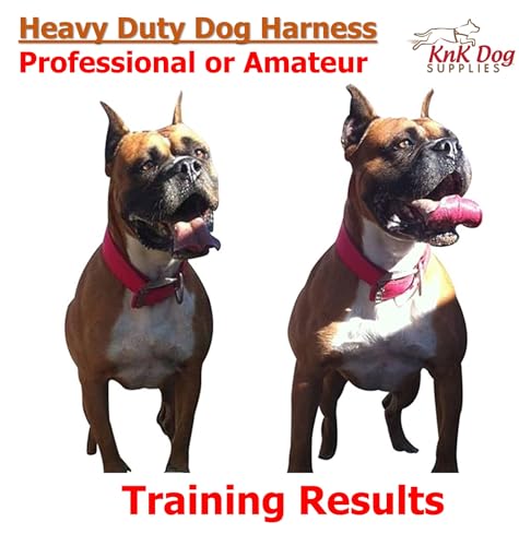 Knk Dog Supplies 14874176 Big Dog Harness Padded Strong Sturdy Weight Pulling Harness Vest Large Dogs Training Quick Walking Keep Your Dog Amused And In Great Shape thumb #4