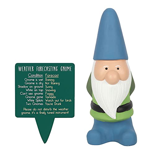 Humorous Large Multicolor Weather Forecasting Gnome - 25cm x 9.5cm (1 Pc.) - Comes with Wooden Sign, Gnome Conditions Include Rain, Sun, Snow & Fog - Perfect Garden Decor