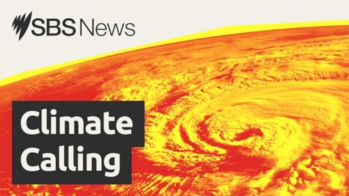 'Can't have it all': Australia abandons bid for COP31 climate summit