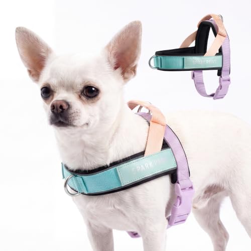 Image of Spark Paws No Pull Front Clip Dog Harness - Easy On, Padded and Lightweight