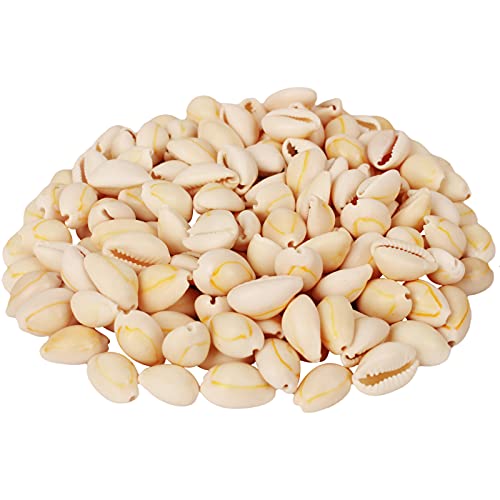 MRWiZMS Coquillages Naturels, Coquillage Decoration Perle, Coquillage Bijoux Creation, Sable Decoratif pour VaseBougie Coquillage FaiteCoquillage Decoration Aquarium Cover