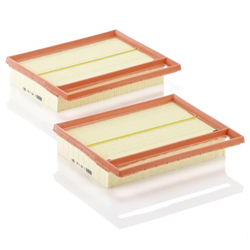 Mann Filter C 25 110-2 Air Filter