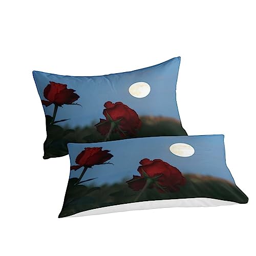 Housse de couette microfibre de qualité supérieure parure de lit 3D fleurs - 3