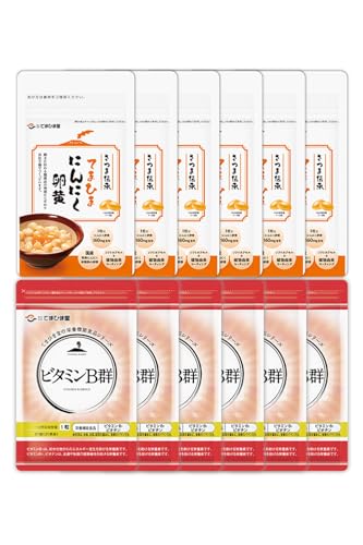 てまひま堂 活力セット 定期便 全3回 隔月 てまひま にんにく卵黄 ビタミンB群 各2袋×3回 計12袋 サプリメント 健康食品