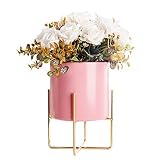  iBorn - Maceta Pintada (16 cm), Color Rosa