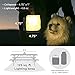 LuminAID Solar Camping Lantern - Inflatable LED Lamp Perfect for Camping, Hiking, Travel and More - Emergency Light for Power Outages, Hurricane, Survival Kits - As Seen on Shark Tank