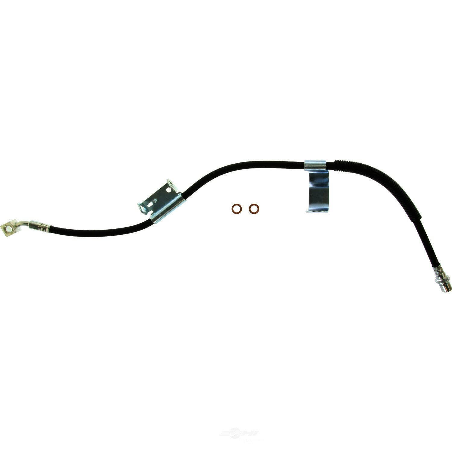 Amazon.com: Centric 150.66378 Brake Hose : Automotive