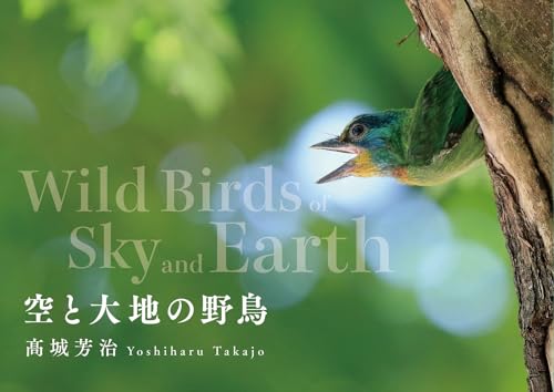 野鳥の写真集 おすすめ5選の表紙画像