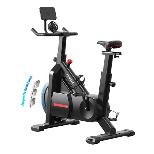 YESOUL Self-Powered Exercise Bike